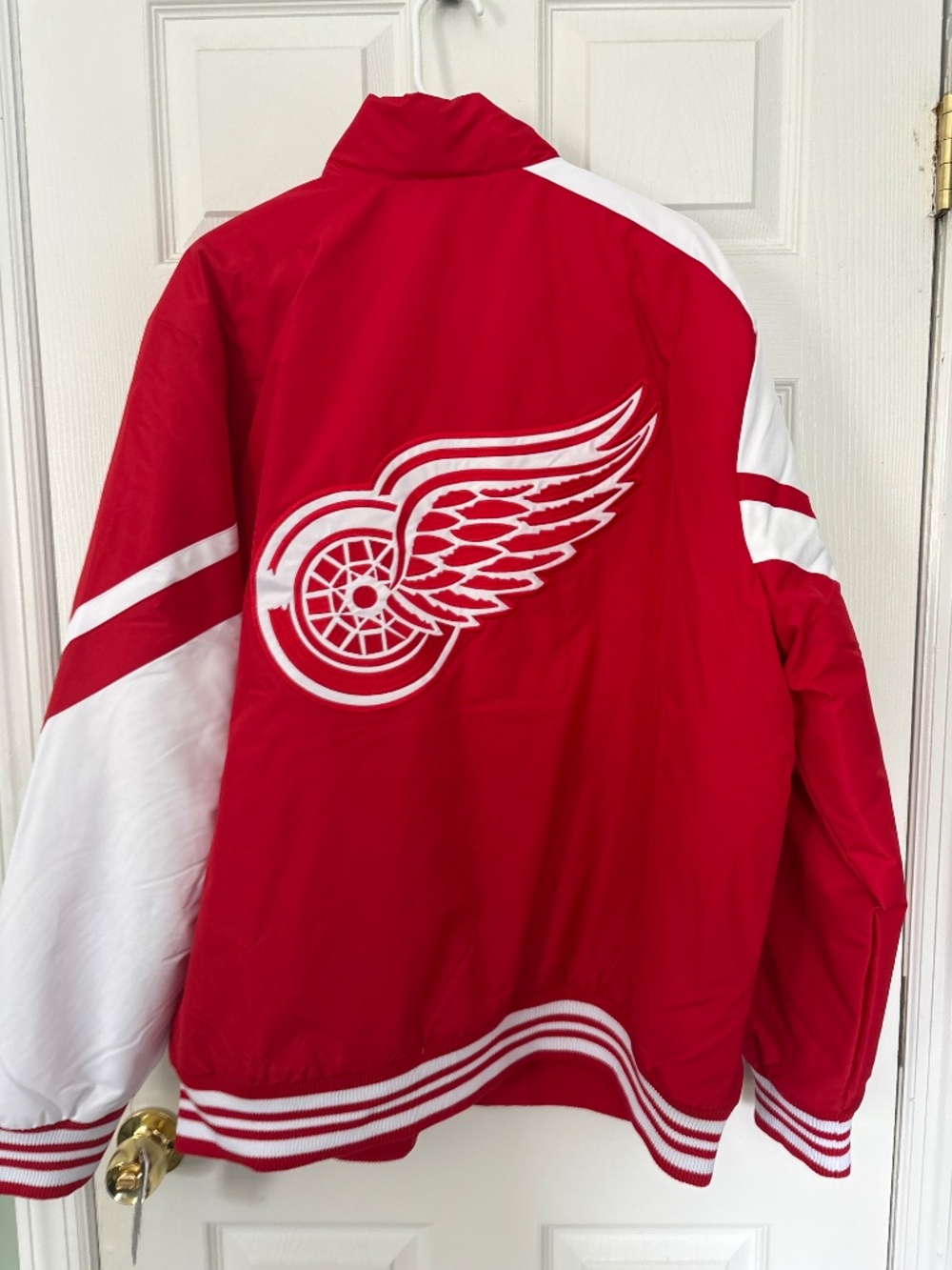 Detroit Redwings - Picture 2 of 3